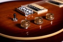 Washburn R5TS-U Raven ’78 Tobacco Burst Guitarra Eléctrica 2