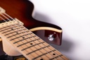 Washburn R5TS-U Raven ’78 Tobacco Burst Guitarra Eléctrica 6