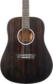 WASHBURN DEEP FOREST EBONY D STRIPED EBONY GUITARRA ACUSTICA