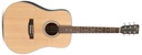 SX SD204TBK Guitarra acustica Trans Black