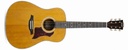 Bromo BAN1V Denali Series Dreadnought Guitarra Acústica