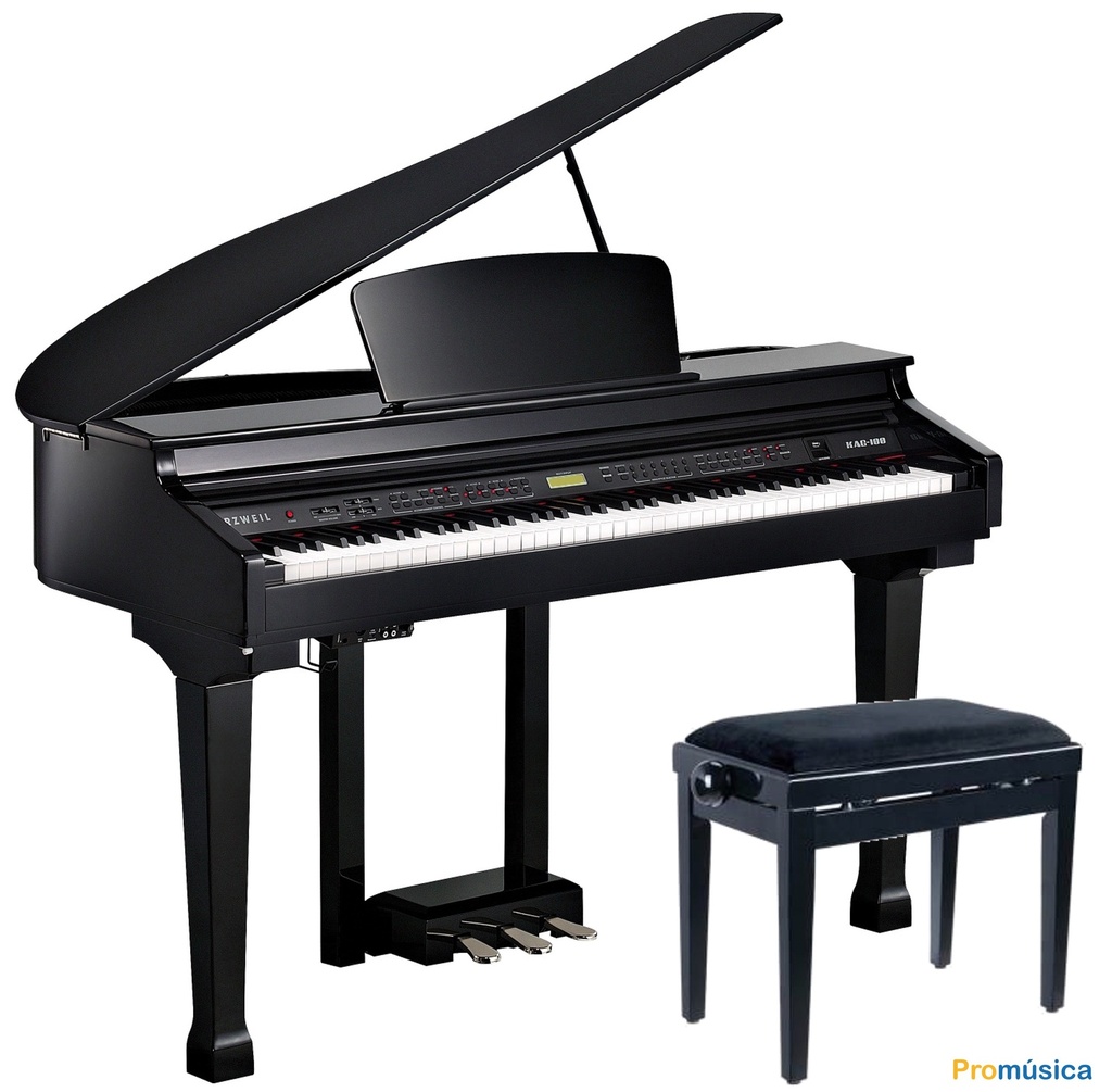 Kurzweil Kag-100 Negro Pulido